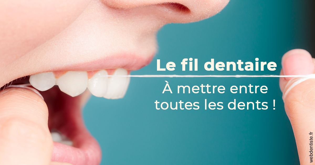 https://selarl-haussmann-setbon.chirurgiens-dentistes.fr/Le fil dentaire 2