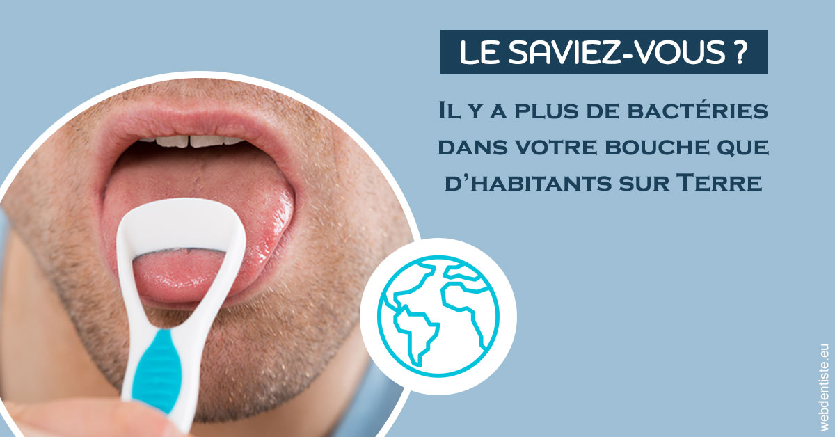 https://selarl-haussmann-setbon.chirurgiens-dentistes.fr/Bactéries dans votre bouche 2